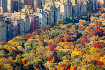 Brilliant fall colors of Central Park foliage in late afternoon. Aerial view toward Central Park West. Upper West Side, Manhattan, New York City - obrazy, fototapety, plakaty