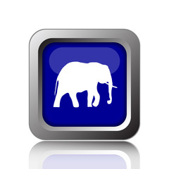 Elephant icon