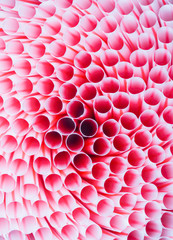 Background of Striped drink straws