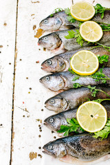 Trout fish