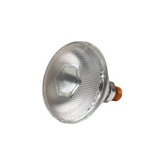 Light bulb isolated on white