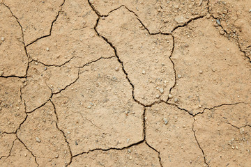 Dry cracked ground filling the frame as background