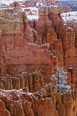 The cold winter beauty of Bryce Canyon