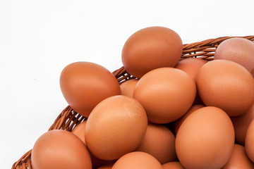 eggs in an egg holder