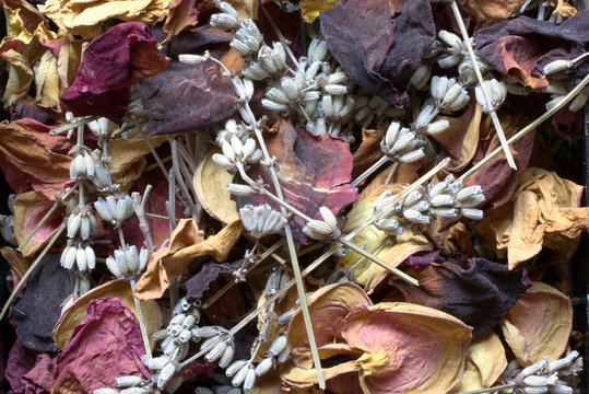Pout pourri