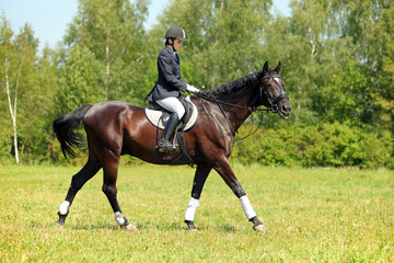 Girl riding horse in English riding attire and saddle on a sunny day