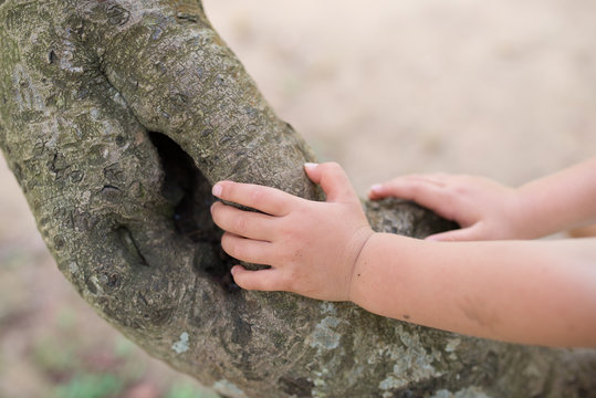 木に触る子供の手