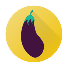 Vector vegetable flat icon of eggplant
