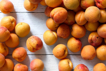 Whole orange apricots with red blush as a background from above.