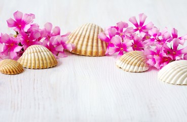 Spa mit Muscheln und Blüten