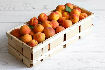 Wood box of whole orange apricots with red blush on rustic white
