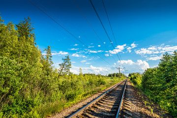 Fototapeta na wymiar Railway receding into the distance, passing through the forest