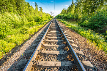 Railway receding into the distance, passing through the forest © Georgii Shipin