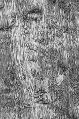 Black and white Wooden texture background