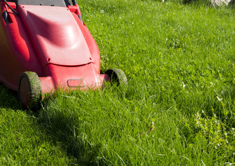 mowing the lawn