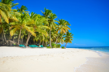 Beach on the tropical island