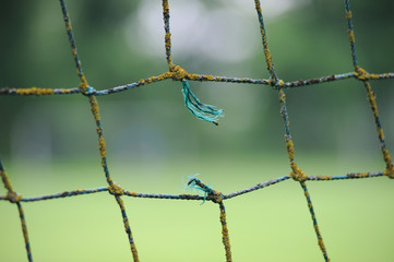 Riss im Netz