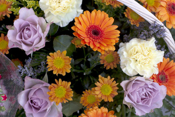 Assortment of flowers