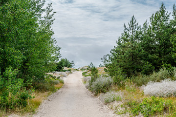 Fototapeta premium Sandy pathway to the Baltic Sea. Lithuania