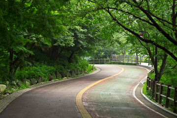 Obraz premium 산책길