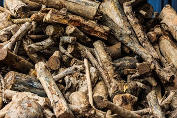 Fototapeta premium Cutting log use for raw material to feed in factory 