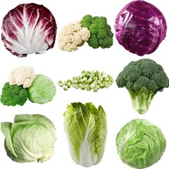 Cabbage, Lettuce, Isolated.