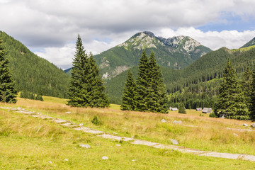 Glade Polana Chocholowska i summit Kominiarski Wierch © gubernat