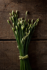 fresh spring garlic isolated on a wood background