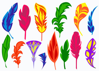Set isolated colored feathers