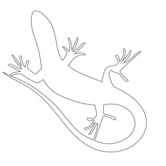 Naklejka premium Beautiful monochrome lizard, lizard silhouette. Vector illustra