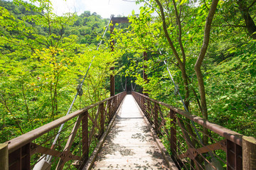 檜原村三頭大滝の吊り橋