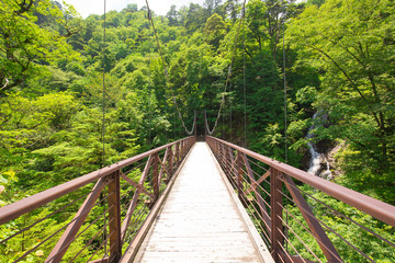 檜原村三頭大滝の吊り橋
