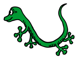 funny lizard