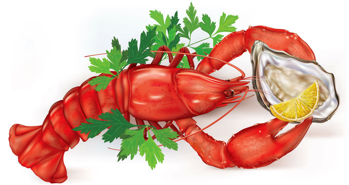 Lobster and Oyster