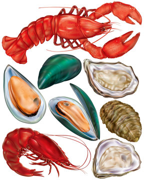 set of seafood