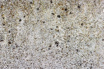 Gravel