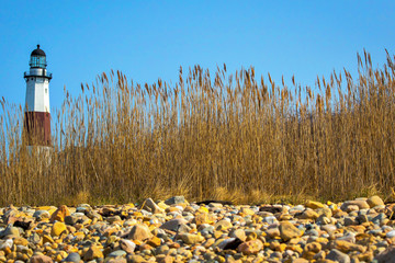 Lighthouse through the Seagrass