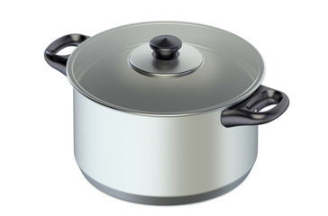 Stainless steel pot with glass cover