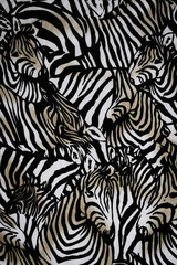 Fototapety  Tkanina tekstury wielu stada zebr na tle