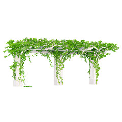 Obraz premium Angled gardening wooden construction with flowers pergola