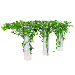 Fototapeta premium Angled pergola back view