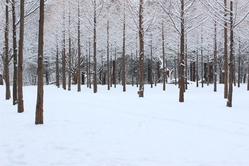 Fototapeta premium 침옆수