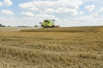 Obraz premium grain harvester combine work in field
