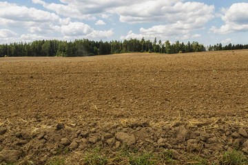 Rural Landscape  with a Beautiful Blue Cloudy Sky Above
