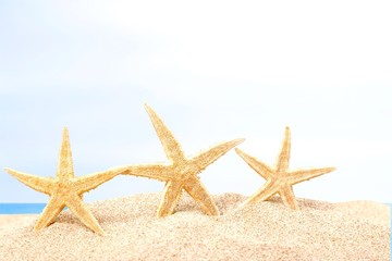 Fototapeta na wymiar Beach, summer, starfish.
