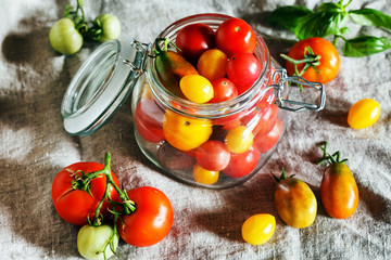 colorful tomatoes