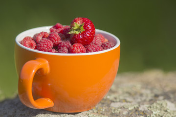 an orange cup filled with fresh raspberries and strawberry