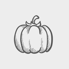 Squash sketch icon