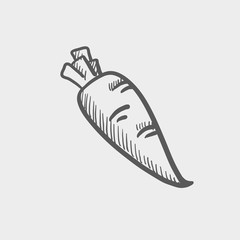 Carrot sketch icon
