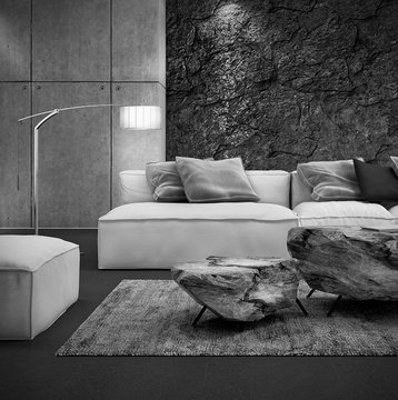 Modern interior design of living room B&W